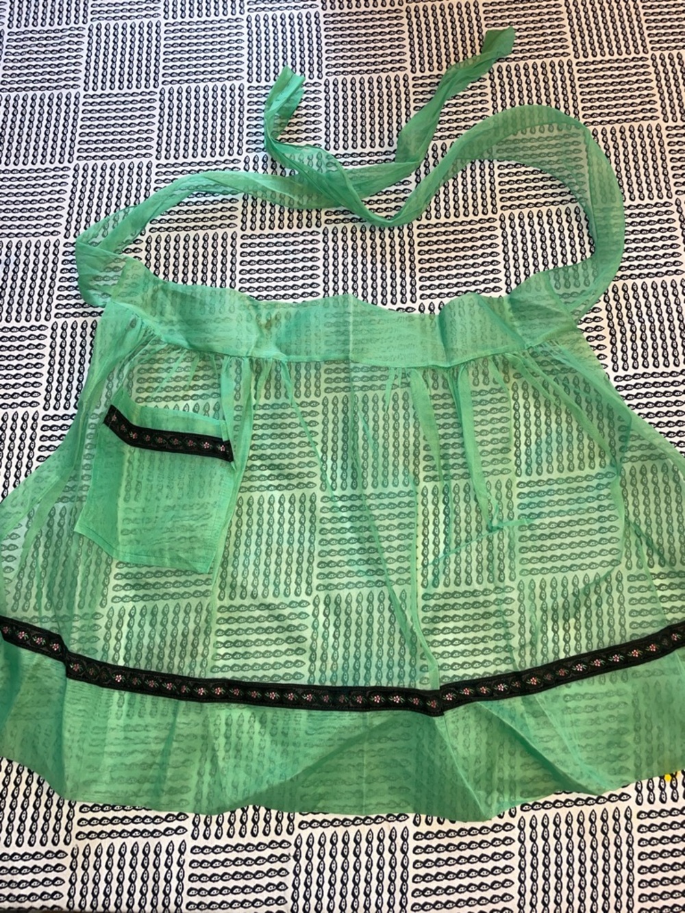 Green Sheer vintage  Apron with Black Trim